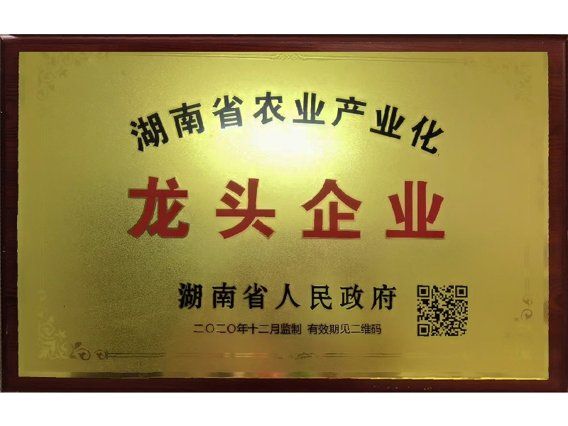 岳陽市漁之源食品有限公司,岳港漁都,洞庭魚港,散稱系列,田螺系列,臭豆腐加工，香豆腐加工，烤脖加工，魚仔,鴨排加工、雞丁加工代加工